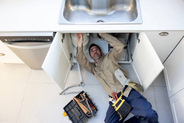 Best Plumbing Inspection Services  in Roanoke, IN