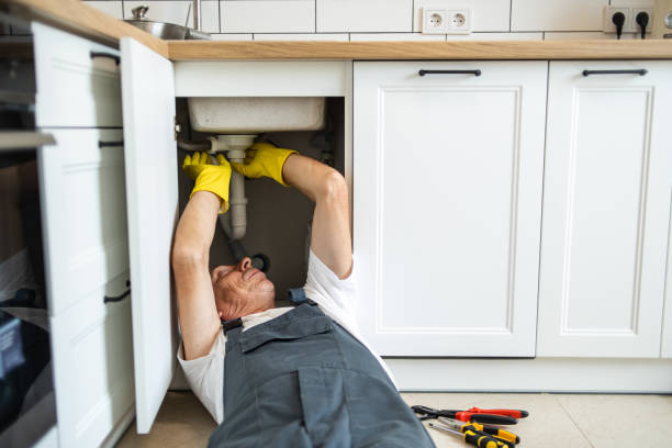 Best Residential Plumbing Services  in Roanoke, IN