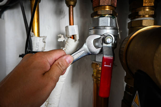  Roanoke, IN Plumbing Pros